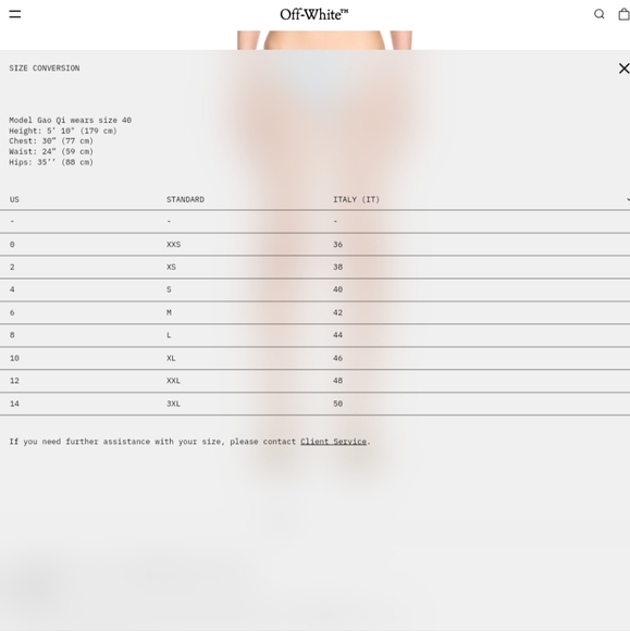 4S. NWOT OFF-WHITE LOGO BAND ASYMMETRIC BIKINI TOP ONLY SIZE IT 36/ US 0 - Picture 5 of 5